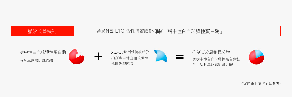 NEI-L1® 活性抗皺成份